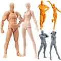 Mannequin de corps mobile masculin et féminin figurine d'artiste croquis de figurine d'anime