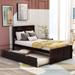 Twin Size Wood Platform Bed with Twin Size Trundle, Espresso