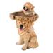 mnjin resin dog birdbath polyresin antique garden bird bath for home garden yard yellow