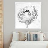 Oliver Gal Peony II - Graphic Art on Canvas Paper in Black/White | 42 H x 42 W x 0.8 D in | Wayfair 47084_40x40_PAPER_WHITE