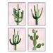 Stupell Industries Bold Pink Desert Cactus Plants Arid Vegetation by Mia Jensen - 4 Piece Floater Frame Graphic Art Set on Canvas Canvas | Wayfair