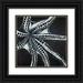 Atelier B Art Studio 15x15 Black Ornate Wood Framed with Double Matting Museum Art Print Titled - LARGE OCTOPUS TENTACLE