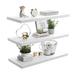 Latitude Run® Valts Floating Shelf Set w/ Invisible Wall Mount Bracket Wood in White | 2 H x 24 W x 12.75 D in | Wayfair