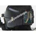 Infocus M2+ Projector Lamp with Module