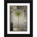 Marcon Michael 11x14 Black Ornate Wood Framed with Double Matting Museum Art Print Titled - Sun Palm II
