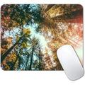 Beautiful Sky Mouse Pad Sublime Trees Nature View Mouse Pad California Redwoods Sun-Rays and Sky Rectangle Mousepad Non-Slip Rubber Base Office Mousepad 9.5 X 7.9 Inch