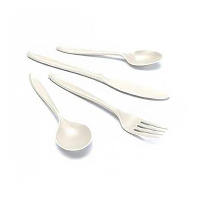 Strong 25020 Disposable Spoon - Plastic, White