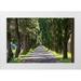 Wilson Emily 24x17 White Modern Wood Framed Museum Art Print Titled - Italy-Apulia-Metropolitan City of Bari-Locorotondo Tree-lined walkway