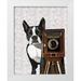 Fab Funky 26x32 White Modern Wood Framed Museum Art Print Titled - Boston Terrier Photographer