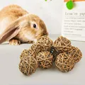 Jouets à mâcher en rotin pour petits animaux activités naturelles petits animaux lapin oiseau