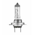 OSRAM Ampoule Neolux H7 12V/55W - x1, taille 30 mm