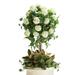 Snowball Hydrangea Topiary - Frontgate