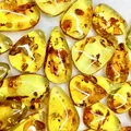 Pendentif en ambre naturel en forme de goutte collier de bijoux en pierres précieuses naturelles