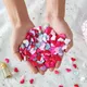 Mini éponge romantique en Satin 100 pièces pétales de cœur confettis de mariage lit de Table