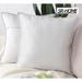 Everly Quinn Polyester Euro Square Pillow Cover Velvet | 20 H x 20 W in | Wayfair DA489FD4C57F4F6F83AAF6ECC7C945E7