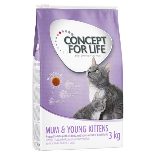 3kg Mum & Young Kittens Concept for Life Katzenfutter trocken