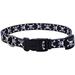 Coastal Pet Attire Skull and Cross Bones Styles Adjustable Dog Collar