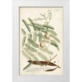 Miller Dianne 17x24 White Modern Wood Framed Museum Art Print Titled - Miller Ferns II