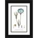 Wild Apple Portfolio 16x24 Black Ornate Wood Framed with Double Matting Museum Art Print Titled - Conversations on Botany III on White with Blue