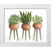 Jacobs Cindy 31x26 White Modern Wood Framed Museum Art Print Titled - Clay Pot Trio of Plants