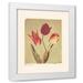 Amy Melious 20x24 White Modern Wood Framed Wall Art Titled - Spring Color I