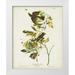 Audubon John James 12x14 White Modern Wood Framed Museum Art Print Titled - Pl 144 Small Green-crested Flycatcher