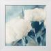 Meneely Dan 26x26 White Modern Wood Framed Museum Art Print Titled - White Roses II