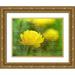 Frank Assaf 32x25 Gold Ornate Wood Framed with Double Matting Museum Art Print Titled - Beautiful Poppy flower in garden