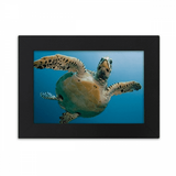 Ocean Blue Water Turtle Science Nature Picture Desktop Photo Frame Ornaments Picture Art Painting