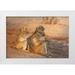 Kaveney Wendy 32x23 White Modern Wood Framed Museum Art Print Titled - Botswana Two grooming baboons