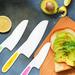 NutriChef 3-Piece Nylon Kitchen Baking Knife Set - Children"s Cooking Knifes, Serrated Edges, Bpa-Free Kids" Knifes Nylon | Wayfair NCKIDNF3