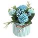 wofedyo Home Decor Tree Green Succulents Pot Flower Grass Desktop Bonsai Decor Bedroom Decor Blue 16*10*10