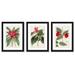 Red Barrel Studio® Flora of the Tropics - 3 Piece Picture Frame Graphic Art Set on Wood in Brown/Green/Red | 24 H x 54 W in | Wayfair