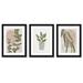 Bay Isle Home™ Modern Eucalyptus Leaves by Modern Eucalyptus Leaves - 3 Piece Picture Frame Graphic Art Set on Wood in Brown/Green/White | Wayfair