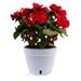 ðŸª´ Santino ASTI 11.8 Inch Self Watering Planter WHITE/BLACK for Indoor Plants - Modern Plastic Planter w/ Water level Indicator for All House Herbs Plants African Violets and Dahlias