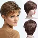 Perruques courtes coupe Pixie pour femmes cheveux bruns ombrés cheveux raides courts avec frange