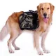 CamSolomon-Grand sac à dos extérieur pour chien sac de voyage pour grand chien sac de dégager