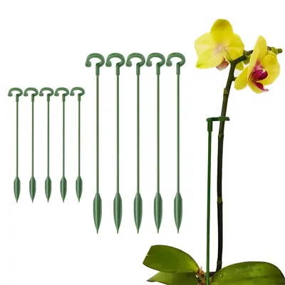 Poteau de soutien de bonsaï de jardin Stander porte-arbuste à tige unique papillons orchidée
