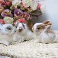 Mini Lapins en Peluche Blanc Réaliste Modèle de Simulation de Lapin de Pâques Jouet en Fourrure