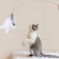 Simulation Bird interactive Cat Toy Funny Feather Cat Stick with Bell Cat Playing Teaser Wand Toy