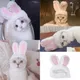 Chapeau de costume de lapin mignon pour animaux de compagnie coiffure de chat accessoires de