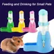 Distributeur d'eau automatique pour petits animaux dispositif d'alimentation bouteille d'eau pour