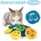 Tranches de loofah naturelles pour petits animaux jouets pour molaires pour animaux de compagnie