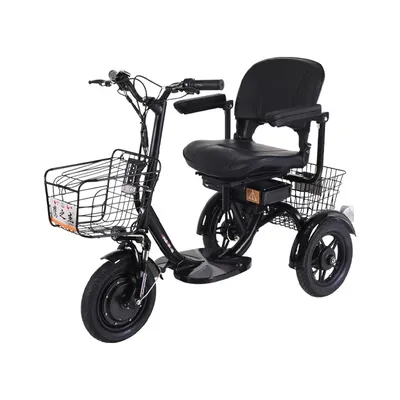 Tricycle électrique 12 pouces pour personnes handicapées/Elmain3 roues 300W 48V scooter de