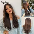 Perruque Lace Front Wig synthétique longue lisse brune pour femmes cheveux naturels résistants à la