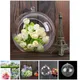 Vase boule de verre suspendu créatif Pot de plante de fleur Terrarium décor de maison ou de