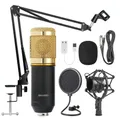 BM800 Studio Microphone Static Bundle Galet de chambre professionnel pour Webcast Live Studio