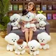 Peluche de chien bichon frisé 25cm 1 pièce jouet mignon et doux cadeau