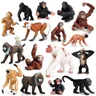 Jouets de simulation pour enfants animaux sauvages orang-outan singes singes singes poupées