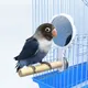 Jouets en bois pour les oiseaux avec miroir pour les petits perroquets cockatiels support